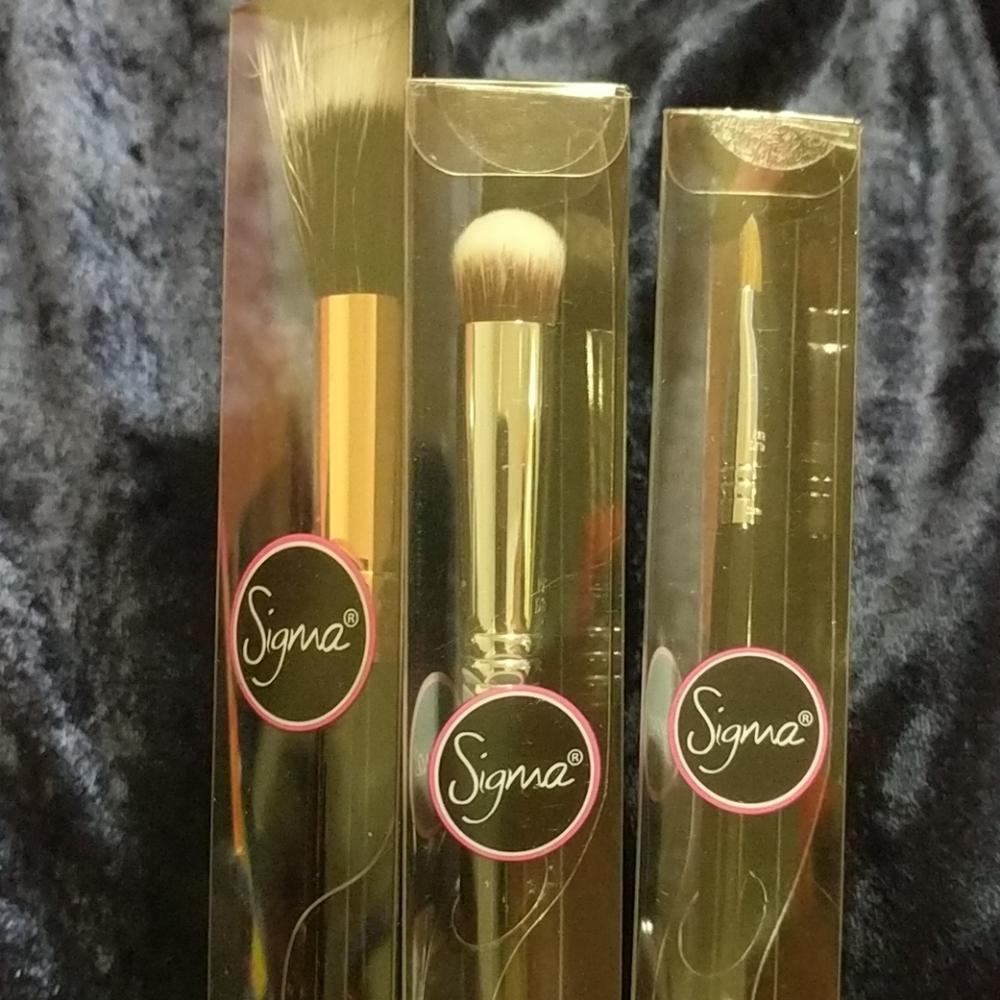 Sigma brush bundle